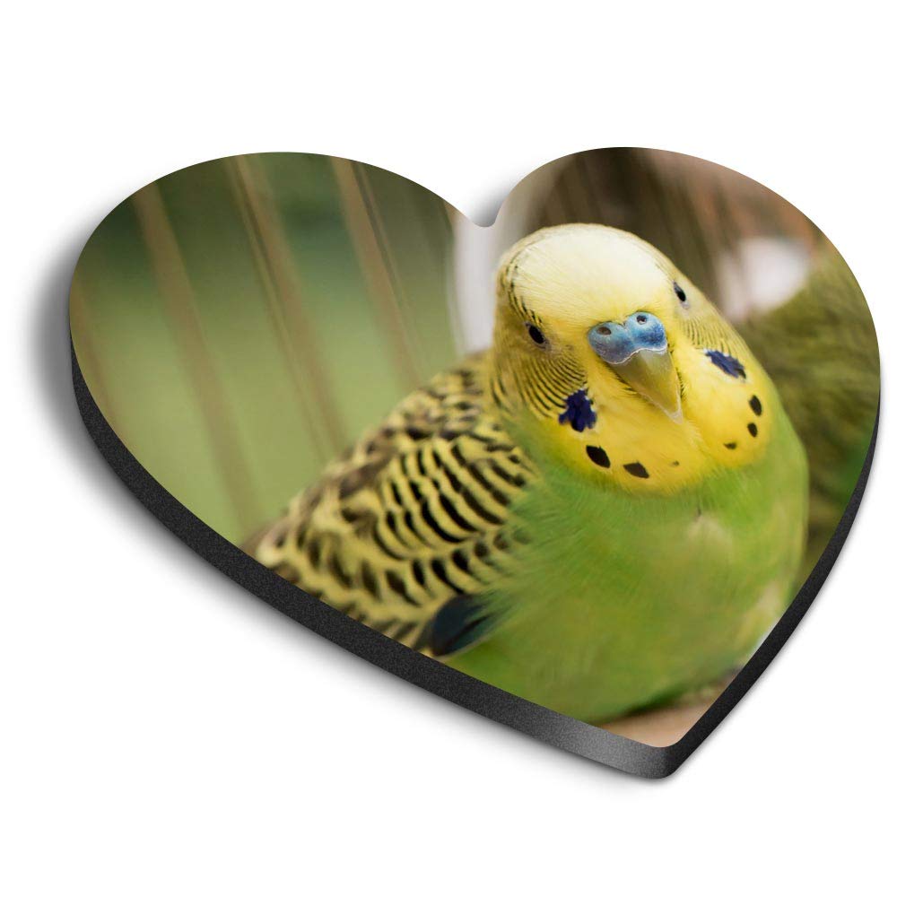 Destination Vinyl Ltd Multicolor 1 X Heart Mdf Magnets - Green Budgie Budgerigar Parrot 45220
