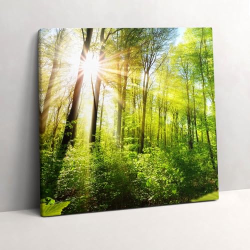 Grand tableaux 60x60cm paysage forestier peinture murale d'art raffiné
