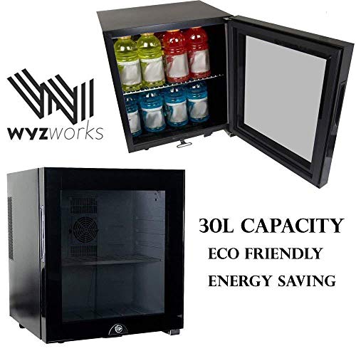 WYZworks 30L Stainless Steel Refrigerator Semiconductor, 1.7 Cubic Feet, Energy Saving Environmentally Friendly