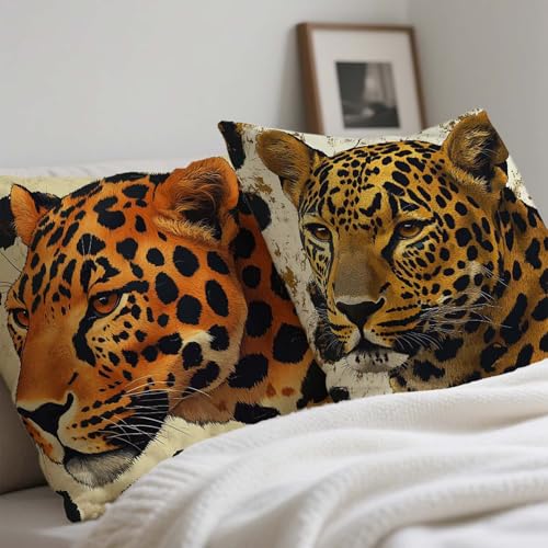 Coussin exterieur impermeable anti tache pour changer de deco de salon