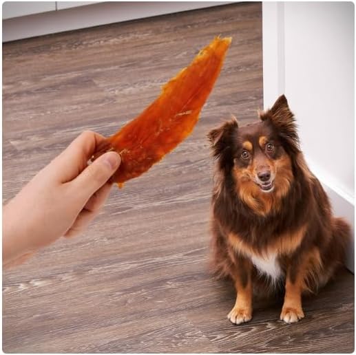 Generic Golden Rewards Chicken Flavor Premium Dry Jerky Treats for All Dogs, 16 oz