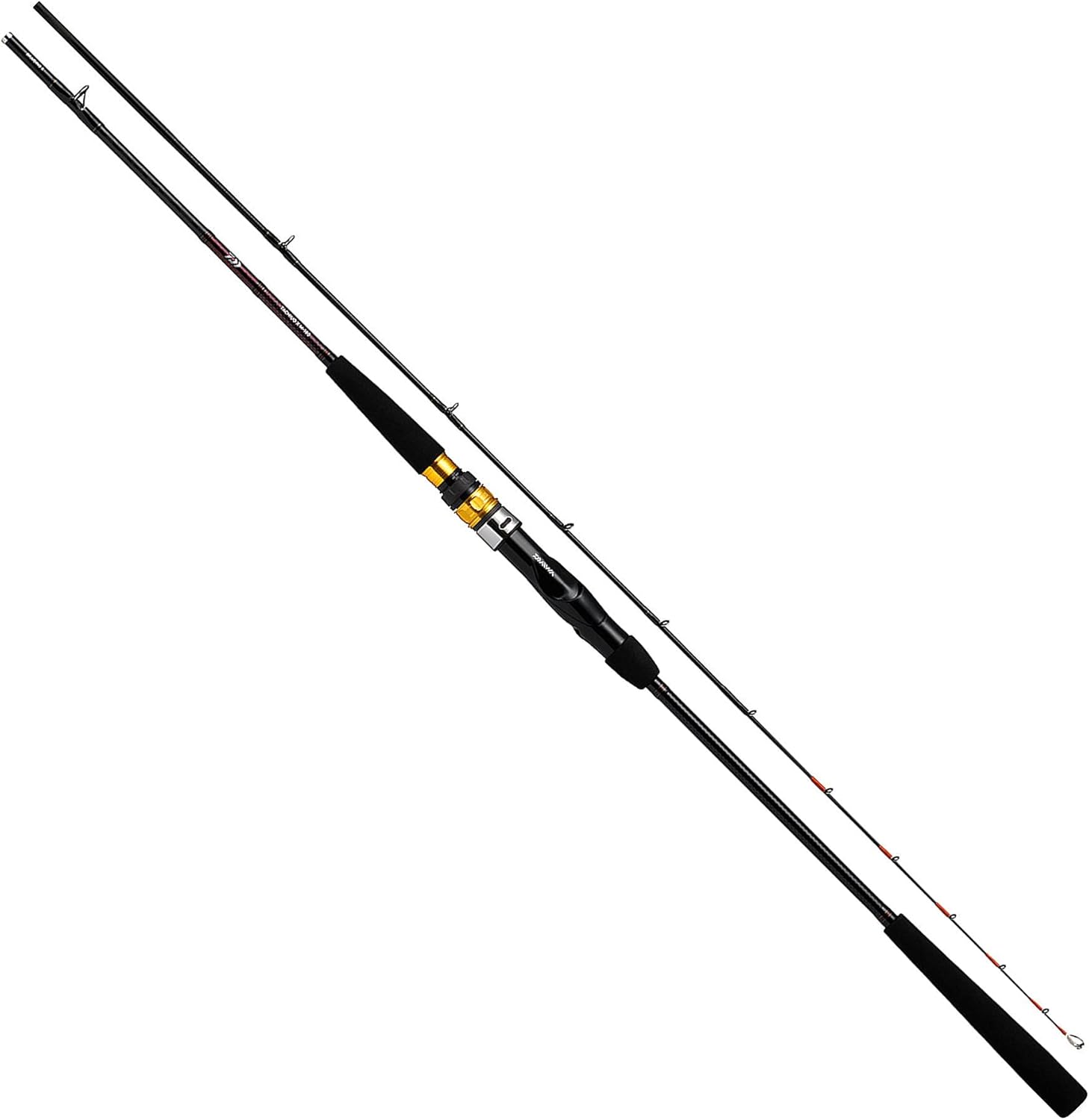 Daiwa 21 Tachiuo X Boat Rod, Various Types