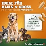NATIVIVO Gelenktabletten Hund - Grünlippmuschel Hund - Gelenkkomplex Vital Rezeptur mit Weihrauch Teufelskralle & MSM - Grünlippmuschel Kapseln - Unterstützt Gelenke & Beweglichkeit Made in Germany