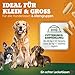 NATIVIVO Gelenktabletten Hund - Grünlippmuschel Hund - Gelenkkomplex Vital Rezeptur mit Weihrauch Teufelskralle & MSM - Grünlippmuschel Kapseln - Unterstützt Gelenke & Beweglichkeit Made in Germany