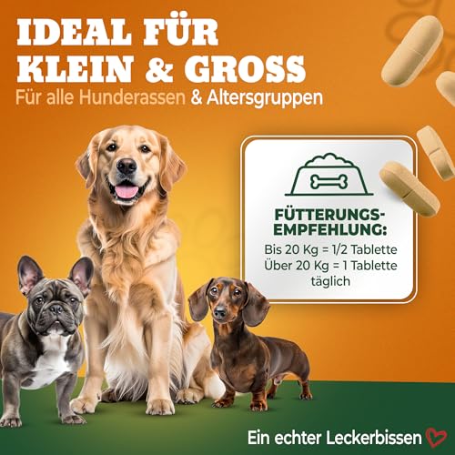 NATIVIVO Gelenktabletten Hund - Grünlippmuschel Hund - Gelenkkomplex Vital Rezeptur mit Weihrauch Teufelskralle & MSM - Grünlippmuschel Kapseln - Unterstützt Gelenke & Beweglichkeit Made in Germany