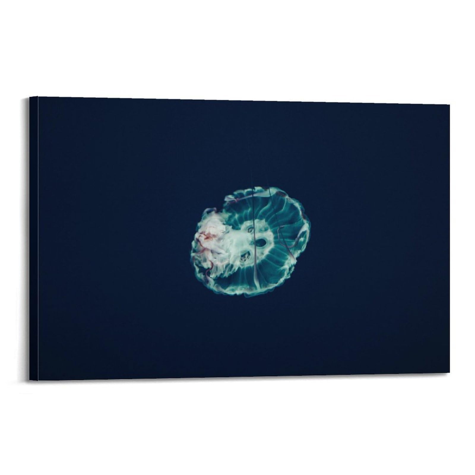 CXHJCA Sea Life Poster Lively Jellyfish Poster Decorative Painting Canvas Wall Posters And Art Picture Print Modern Family Bedroom Decor Posters 24x36inch(60x90cm)