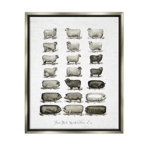 Image of Farm Animal Breeds Diagram Chart, 24 x 30 Inch Canvas in Floater Frame | Stupell Industries . By Lettered and Lined . Ready to hang . Great for farmhouse decor . Made in USA