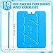 Hoolerry 10 Pcs Large Ice Packs for Cooler 10 x 13 Inch Space Saving Freezer Packs-Reusable Long Lasting for Cooler Totes for Keeping Food Fresh