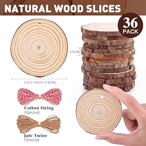 36 Pack Nature Wood Slices for Crafts28 31In Unfinished Natural Wood RoundsWood Circles Predrilled with Hole and 20m Rope for Wooden Craft SuppliesPaintingChristmas OrnamentsDIY Gifts