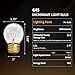 Oven Light Bulb - 40 Watt Appliance Bulb for Maytag GE Kenmore Whirlpool Oven/Stove/Range Hood/Microwave/Refrigerator, G45 E26/E27 Socket, Medium Brass Lead, High Temp - 4 Pack