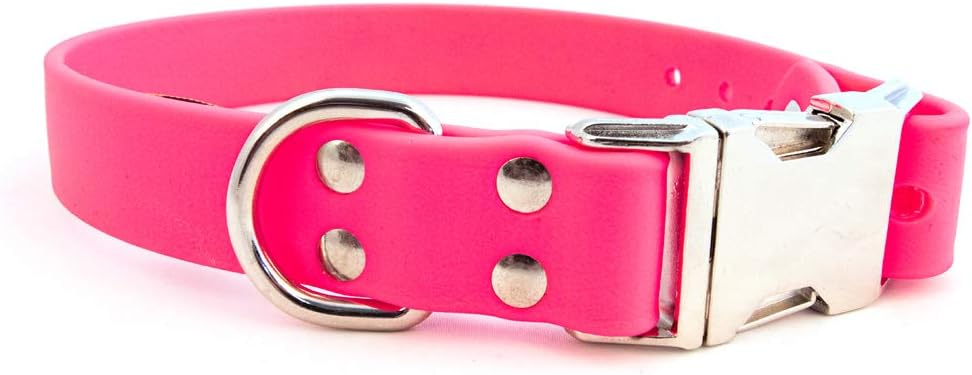 Auburn Leathercrafters Sparky's Choice Dog Collar Color: Pink, Size: 1" x 22"