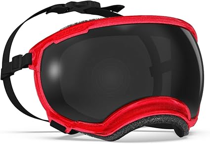 Amazon.co.jp: Rex Specs V2 犬用ゴーグル(XSサイズ、ブラック