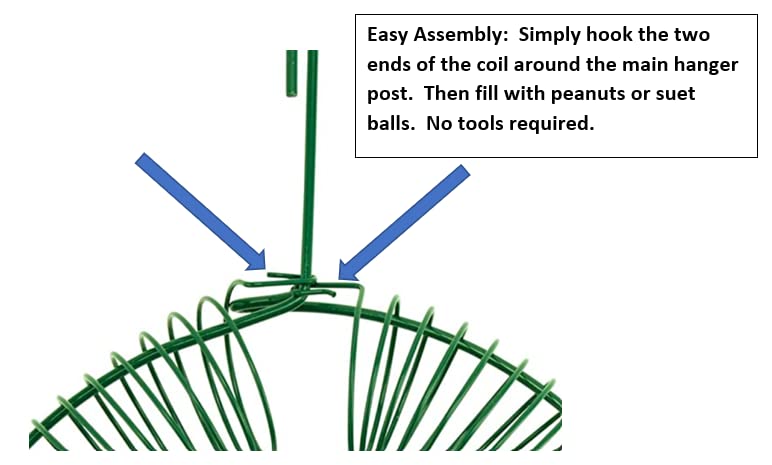 Hanging peanut wreath bird feeder. Whole peanut & suet ball feeder with hanging hook attracts birds, blue jay, bluejay, squirrel, & chipmunk. 16