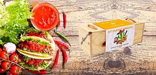 Kit de Huerto Urbano Mexicano: Guindillas. Jalapeños y Pimientos ...