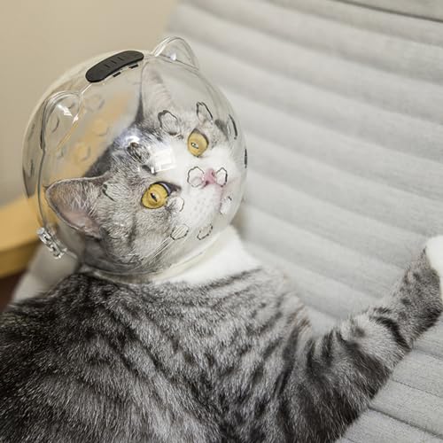 La Mejor review de Casco catlike mixino tabla con los diez mejores. 17 Imagen adicional