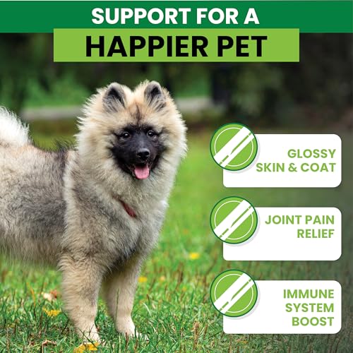 Omega 3 Chews for Dogs - Dog Supplements for Itchy Skin - 90 Chicken & Bacon Flavour Omega 3 Supplements with Salmon Oil - Dog Fish Oil Treats - Easy to Feed Itch and Allergy Chews - Image 6