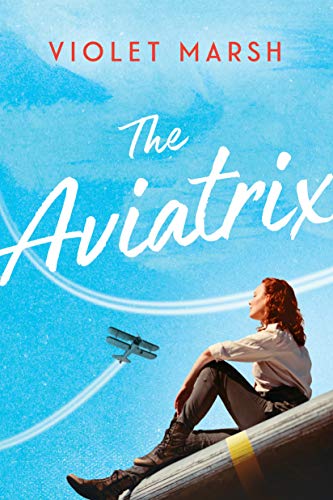 The Aviatrix view 2