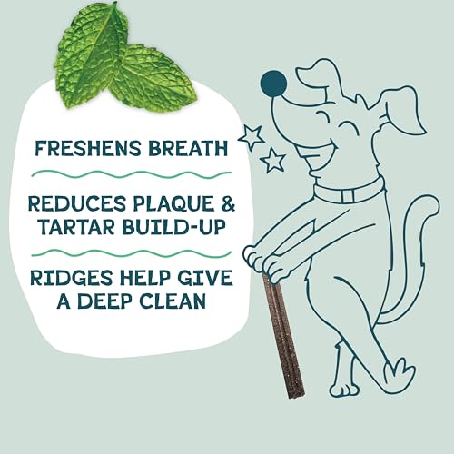 Image of Shameless Pets Triple Mint Dental Chews for Dogs, 8 Chews - Natural Dog Teeth Cleaning Treats with Fresh Breath Benefits | Grain-Free Dental Sticks for Small, Medium & Large Dogs
