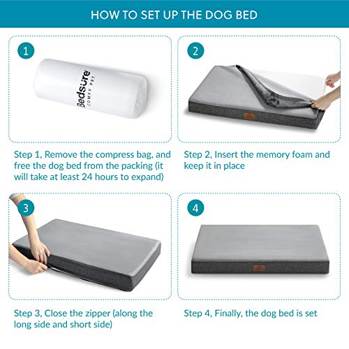 5 Best Dog Mattress & Cushions UK [Top Picks for Every Budget & Size]