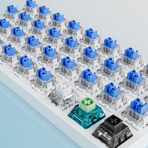 Image of Outemu 90PCS Blue Clicky Mechanical Keyboard Switches,3-Pin Hot-Swappable Pre-Lubricated Switch with 2 Kailh Switches,Crisp Click Sound,for Gaming Keyboards & Clickers for 3D Prints