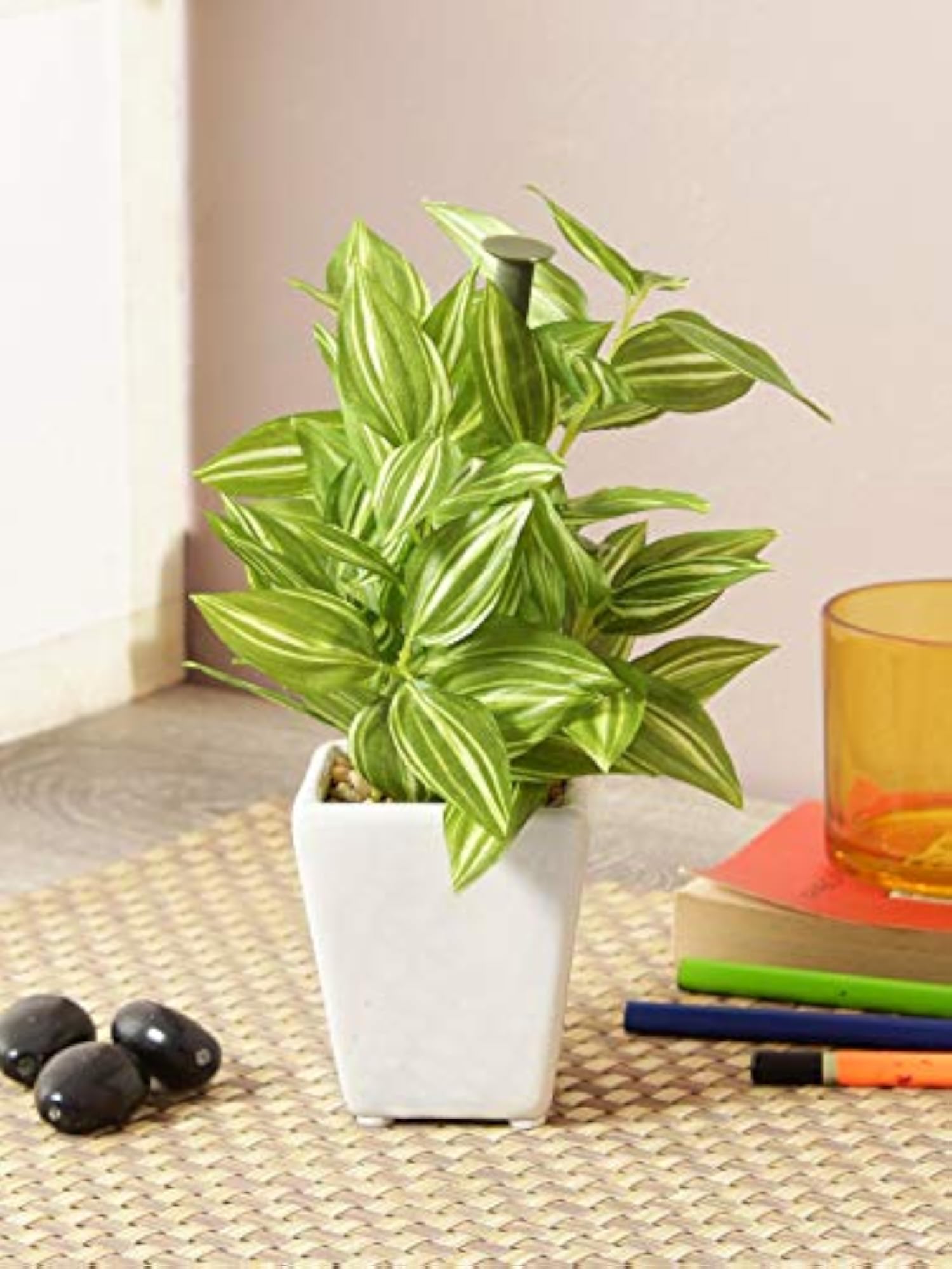 Artificial Hypoestes Plant in Ceramic Pot, 19 cm