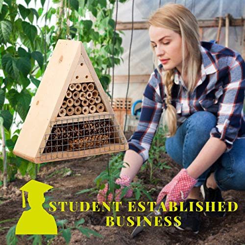 Mason Bee House - Handmade USA Natural Elderberry Bee Hotel - Bee Hive Attracts Peaceful Bee Pollinators to Enhance Garden Productivity - Image 6