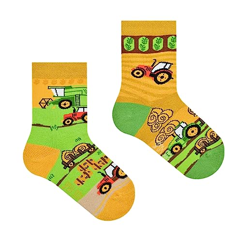 Spox Sox Casual Unisex pour les enfants - des chaussettes colorées coton pour les individualistes - multicolores, drôles, fantaisie, originales chaussettes - amusantes cadeau Gr. 23-26, Tracteurs