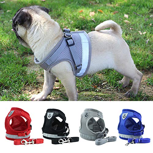Mustbe Strong Harnais Gilet De Compagnie Respirant Réfléchissant Doux Mesh Rembourré Gilet Pas À Pas Harnais Laisse Set pour Dressage en Extérieur pour Chat Et Chien,Bleu,L Cover