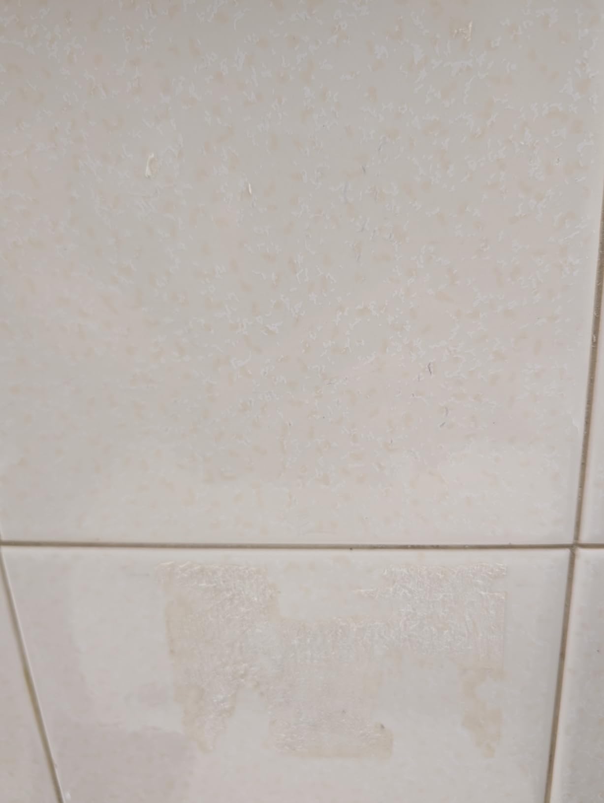 Customer Image