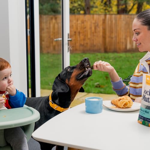 Pooch & Mutt - Superfood Dental Sticks für Hunde, Dental Sticks mit Spirulina- und Minzegeschmack für Hunde, 1 Packung mit 7 Sticks