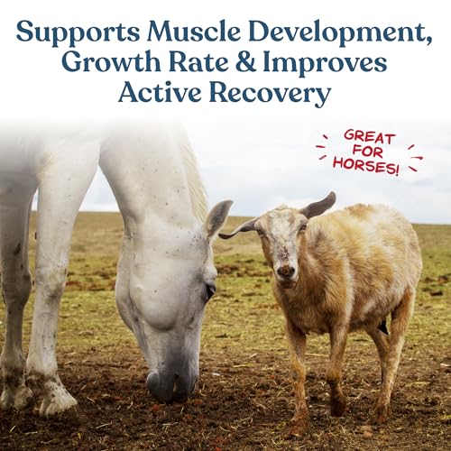 Manna Pro Calf-Manna Multi-Species Performance Supplement, 10 lb Bag | High-Protein Performance Supplement, Supports Growth & Weight Gain, For Livestock, Poultry, Rabbits, Horses & More - Image 6