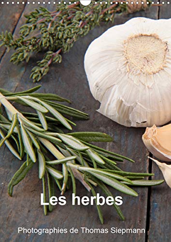 Les herbes (Calendrier mural 2021 DIN A3 vertical): Rien ne vaut des ingredients frais dans une cuisine. (Calendrier mensuel, 14