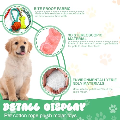YUTUY Juguetes para Perros,21 Piezas Juguete para Morder para Perro,Durable Masticable Cuerda,Juguetes Interactivos para Limpiar los Dientes Adecuado,Cuerda Juguete,para Perros Pequeño y Mediano 2 🐕🐕【Juego de Juguete para Perros de 21 piezas】Los Juguete Perro incluyen nudos para masticar, bolas de cuerda, juguetes de disco volador, juguetes chirriantes populares, estos coloridos juguetes de cuerda pueden estimular fácilmente el interés de su perro y reducir la soledad y el aburrimiento. Juguetes Perro diferentes colores y formas, perfectos para mascotas de diferentes tamaños.
🐕🐕 【Material seguro】 Los Juguete Perro están hechos de nailon y algodón, son seguros para los perros, tienen buena resistencia a las mordeduras, no son tóxicos, son inodoros, lavables, inofensivos y duraderos, satisfacen el instinto natural de masticación de su perro y lo protegen de los juguetes daño.
🐕🐕【Cuerda Juguete Interactivo】Este juguete para perros puede ayudar a tu perro a aliviar el aburrimiento y evitar que dañe tu sofá, pantuflas, etc. Las cuerdas de juguete interactivas pueden fortalecer la conexión entre usted y su perro mientras juega con ellas, entrenar el coeficiente intelectual de su mascota y permitirle hacer ejercicio y mantenerse saludable.