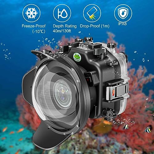 Ficha técnica Sea frogs Carcasa de cámara subacuática compatible con Fujifilm X-T5 para XC 16-50 mm 1:3.5-5.6 con lente gran angular IPX8 40 m 130 pies de profundidad máxima de buceo impermeable para buceo surf - Fernando Cortés Ficha técnica Sea frogs Carcasa de cámara subacuática compatible con Fujifilm X-T5 para XC 16-50 mm 1:3.5-5.6 con lente gran angular IPX8 40 m 130 pies de profundidad máxima de buceo impermeable para buceo surf - Fernando Cortés