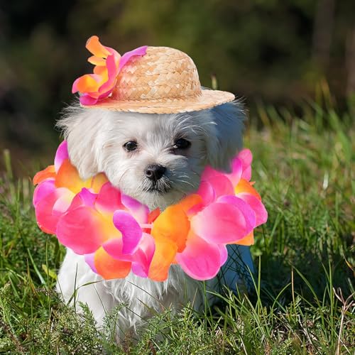 Disfraz hawaiano para perros con lei y sombrero miniatura 6