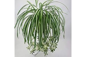 GWOKWAI 2Pcs Artificial Chlorophytum Faux Spider Plant Hanging Basket Simulation Ivy