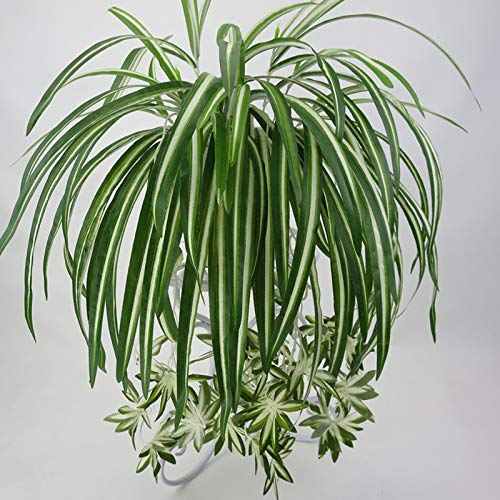 Gentlecarin Planta de araña artificial, 2 ramas, 10 flores, clorofito vegetal, 65 cm de largo, planta de araña de plástico para oficina, hogar, hotel, decoración