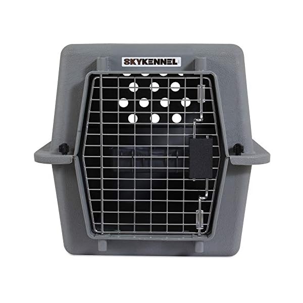 Petmate-Sky-Kennel-Pet-Carrier Petmate Sky Kennel Pet Carrier