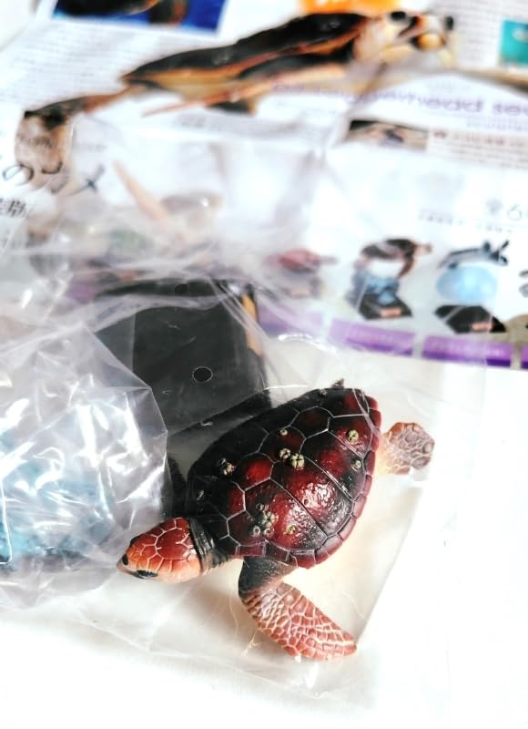 Amazon.co.jp: Gacha Loggerhead Sea Turtle NTC Japanese Turtle