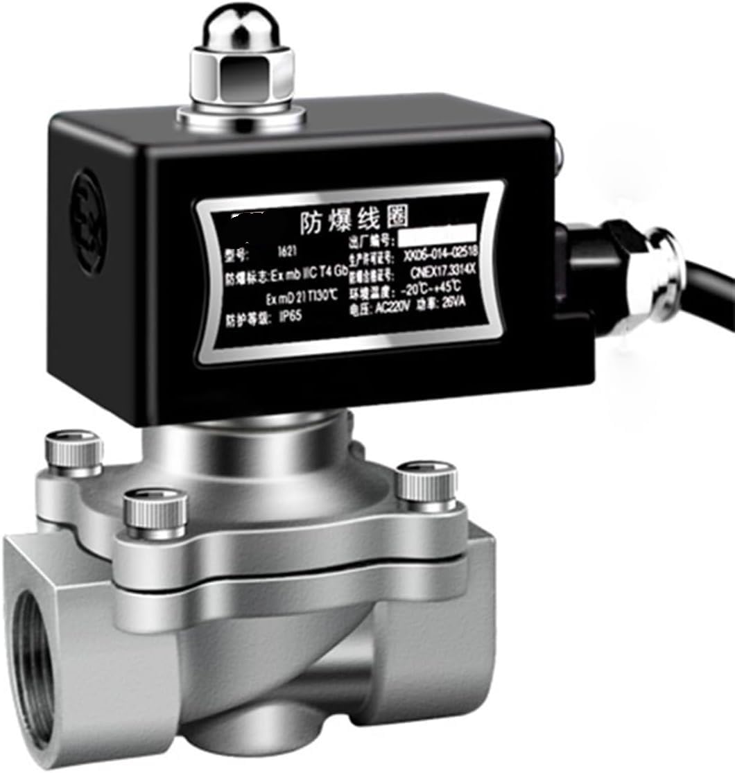 Válvula solenoide normalmente cerrada de acero inoxidable - Válvula y agua a prueba de explosiones de 220 V/24 V(DN25 DC24V)