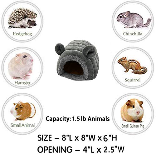 Camas para Perro, Video On Demand Imagen adicional