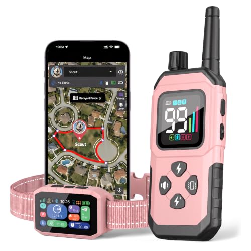 RAINLEOTI GPS Dog Fence