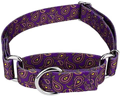 Purple paisley dog collar Clearance