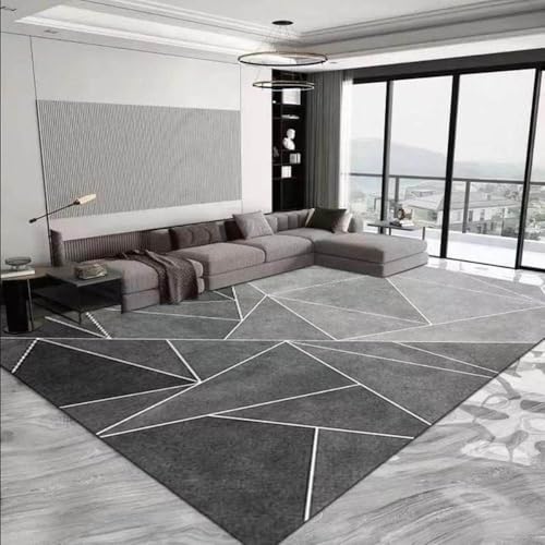 Tapis de salon moderne aux lignes simples 120x160 cm L01 pour table basse