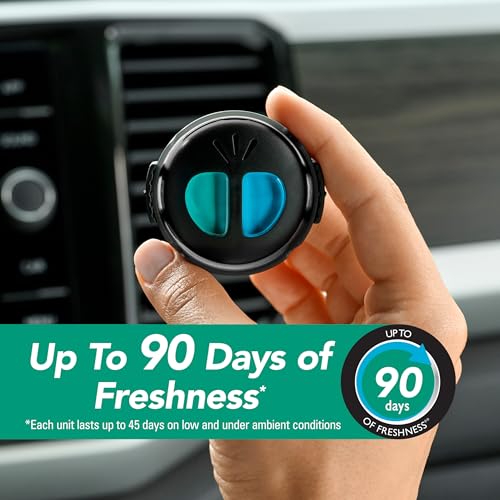 Image of Refresh Your Car! Air Freshener (Alpine Meadow /Summer Breeze Scent, 2 Pack)