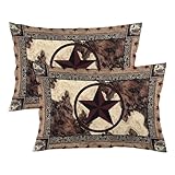 Western Throw Pillow Cover Queen Size Set of 2 Texas Star Vintage Style Stars on Wood Panel Rustic Lumbar Pillow Case Decorative Standard Pillow Cases with Zipper Cushion Covers for Bed,Sofa,20'x30'