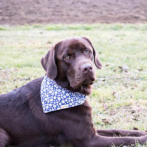 Miniatura 4 de Collar Para Perros Con Bandana Y Brazalete De Amistad Marca Pettsie