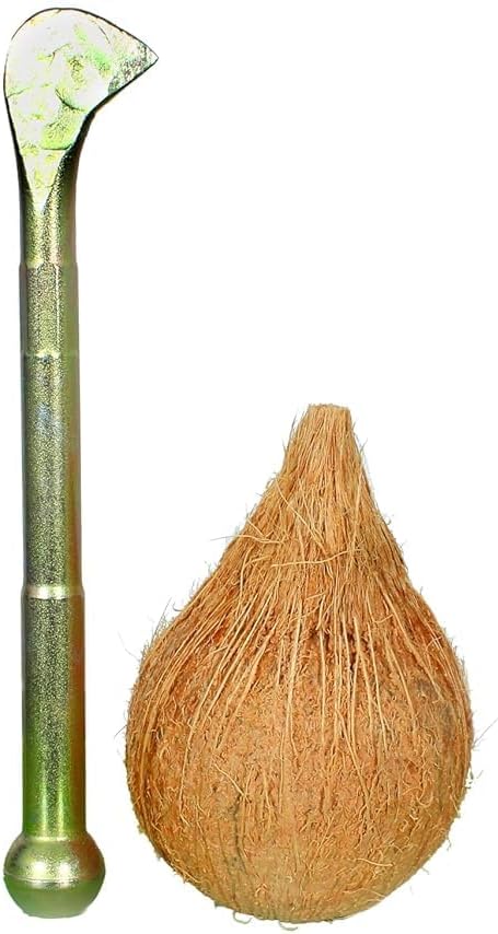 Stainless Steel Coconut Breaker(1)