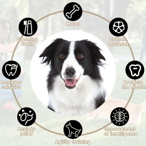 Rongrongago 7 Stück Hundespielzeug-Set, Hundespielzeug Seil, Strapazierfähiges Kauspielzeug Hund, Geeignet Für Welpen, Kleine Hunde, Mittelgroße Hunde (Grün)