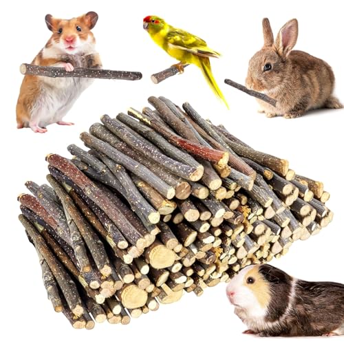 WYOMER 2lb(900g) Small Apple Sticks for Rabbits Animals Molar Wood Treats Toys for Chinchillas Guinea Pig Hamster Gerbil Parrot Bunny and Small Animals Chew Stick Toys Treats